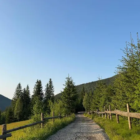 Ferienhaus 'віраж'