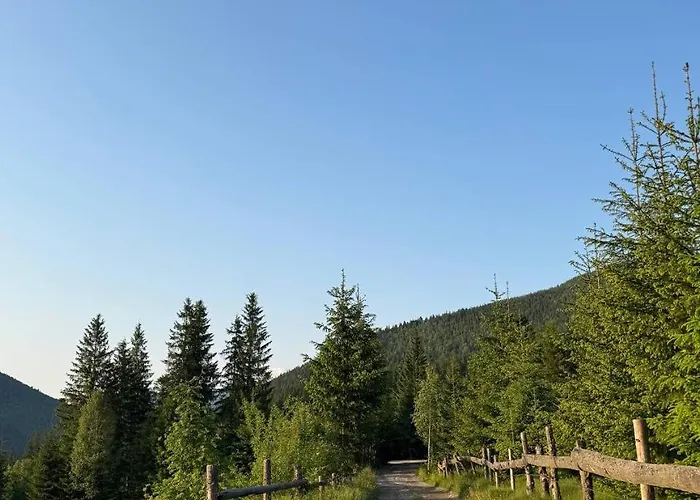 度假居 'віраж'